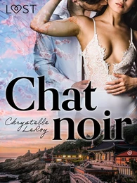 Chat noir – Une nouvelle érotique