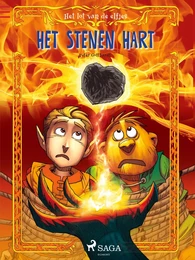 Het lot van de elfjes 2 - Het stenen hart