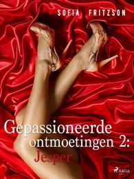 Gepassioneerde ontmoetingen 2: Jesper