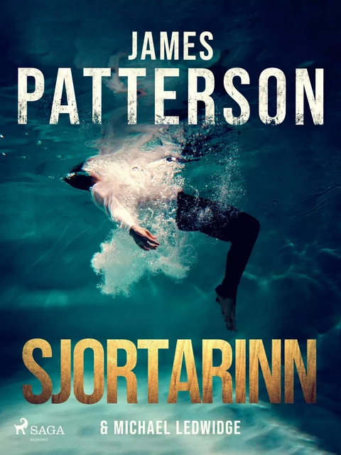 Sjortarinn - Michael Ledwidge, James Patterson - Saga Egmont International