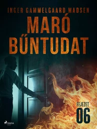 Maró bűntudat – 6. fejezet