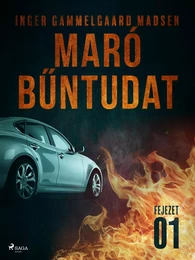 Maró bűntudat – 1. fejezet