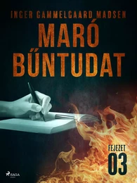 Maró bűntudat – 3. fejezet