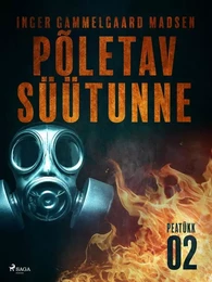 Põletav süütunne – 2. peatükk