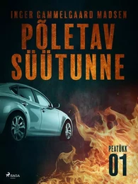 Põletav süütunne – 1. peatükk