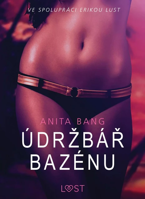 Údržbář bazénu – Sexy erotika - Anita Bang - Saga Egmont International