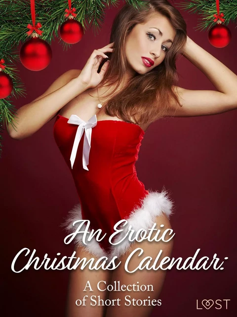 An Erotic Christmas Calendar: A Collection of Short Stories - LUST authors - Saga Egmont International