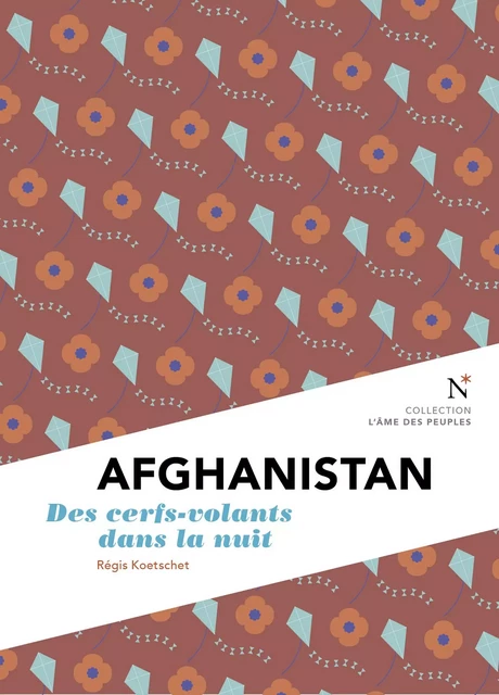 Afghanistan - Régis Koetschet - Nevicata