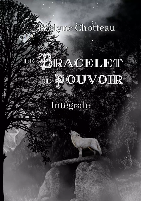 Le bracelet de pouvoir - Evelyne Chotteau - Bookelis