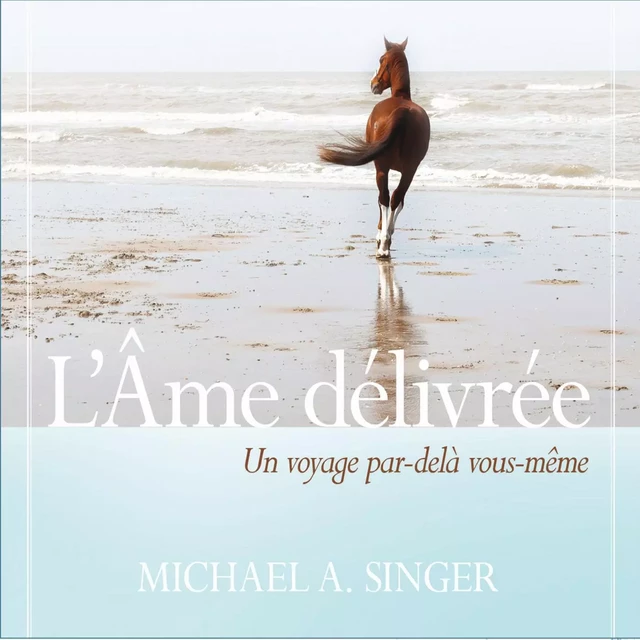 L'âme délivrée : Un voyage par au-delà de vous-même - Michael A. Singer - ADA audio