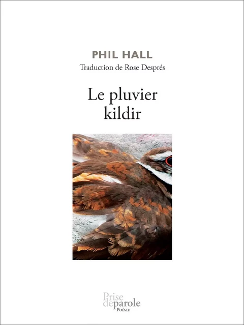 Le pluvier kildir - Phil Hall - Éditions Prise de parole