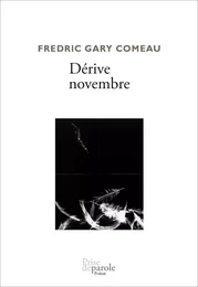 Dérive novembre