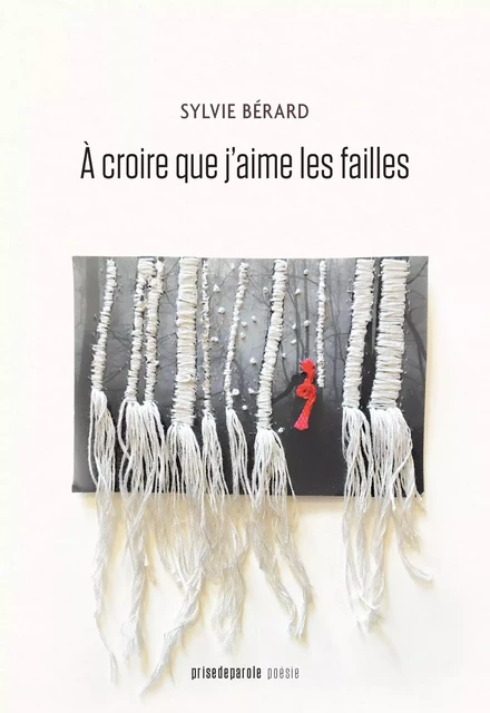 À croire que j’aime les failles - Sylvie Bérard - Éditions Prise de parole