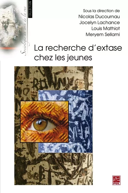 La recherche d'extase chez les jeunes -  Collectif - PUL Diffusion