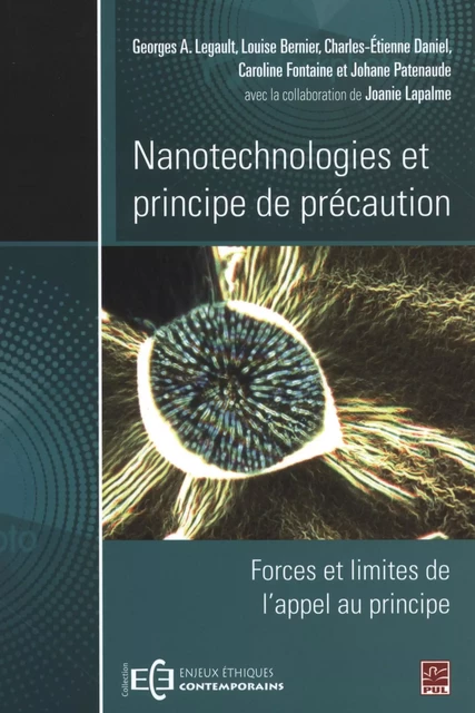 Nanotechnologies et principe de précaution -  Collectif - Presses de l'Université Laval