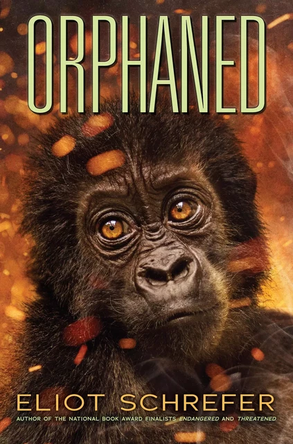 Orphaned (Ape Quartet #4) - Eliot Schrefer - Scholastic Inc.