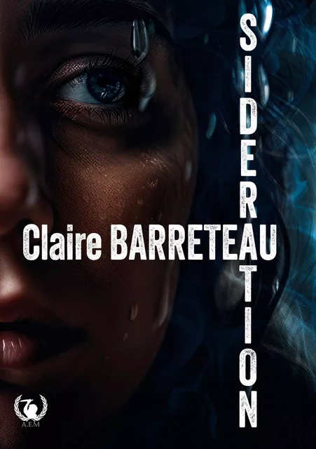 Sidération - Claire Barreteau - Art en Mots Éditions