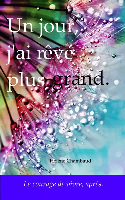 Un jour, j'ai rêvé plus grand. - Hélène Chambaud - Librinova