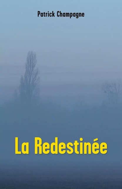 La Redestinée - Patrick Champagne - Librinova