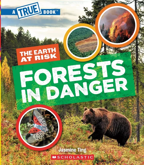 Forests in Danger (A True Book: The Earth at Risk) - Jasmine Ting - Scholastic Inc.