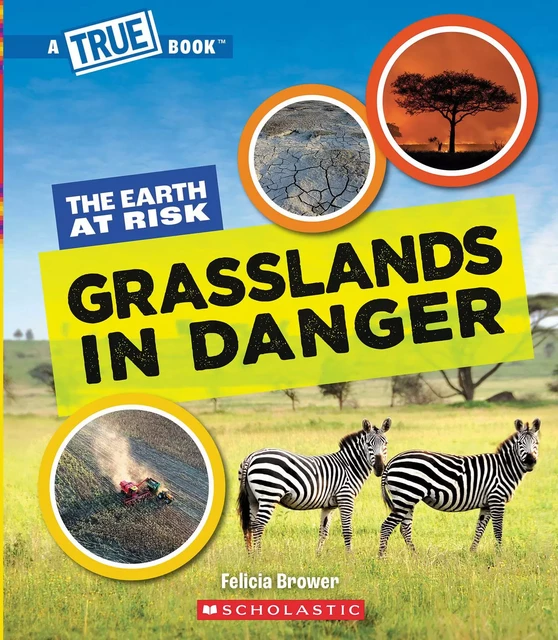 Grasslands in Danger (A True Book: The Earth at Risk) - Felicia Brower - Scholastic Inc.