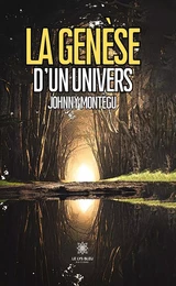 La genèse d’un univers