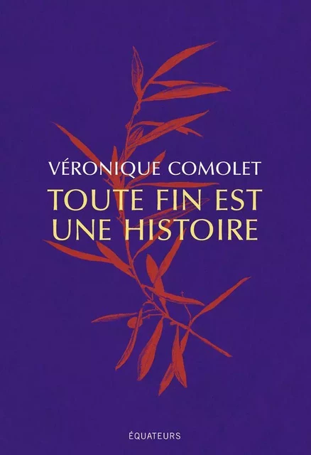 Toute fin est une histoire - Véronique Comolet - Éditions des Équateurs