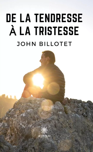 De la tendresse à la tristesse - John Billotet - Le Lys Bleu Éditions