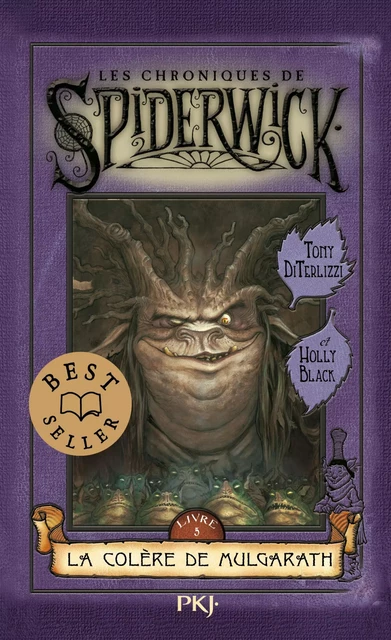 Les chroniques de Spiderwick tome 5 - Tony DiTerlizzi, Holly Black - Univers Poche