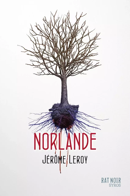 Norlande - Jérôme Leroy - Nathan