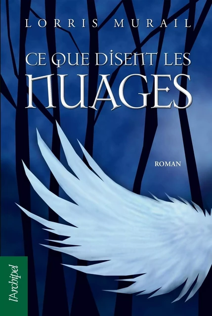 Ce que disent les nuages - Lorris Murail - L'Archipel