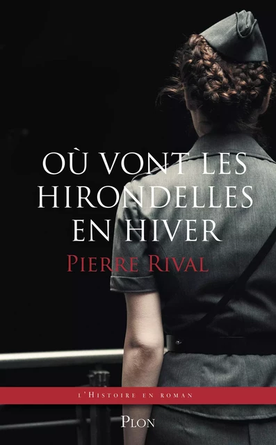 Où vont les hirondelles en hiver - Pierre Rival - Place des éditeurs