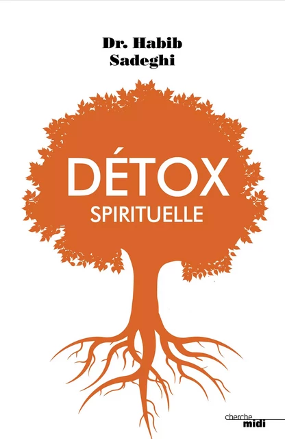 Detox spirituelle - Habib Sadeghi - Cherche Midi