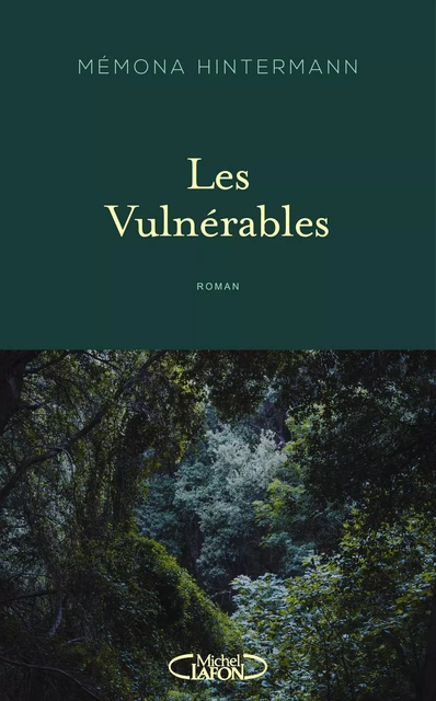 Les Vulnérables - Memona Hintermann - Michel Lafon