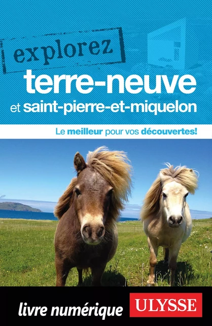 Explorez Terre-Neuve et Saint-Pierre-et-Miquelon - Frédérique Sauvée, Benoit Prieur - Ulysse