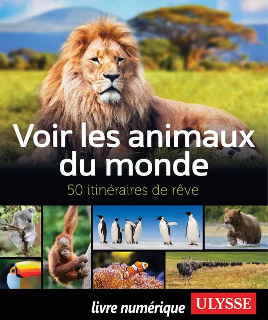 Voir les animaux du monde - 50 itinéraires de rêve - Ariane Arpin-Delorme - Ulysse