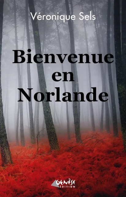 Bienvenue en Norlande - Véronique Sels - Numérique