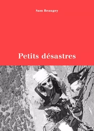 Petits désastres