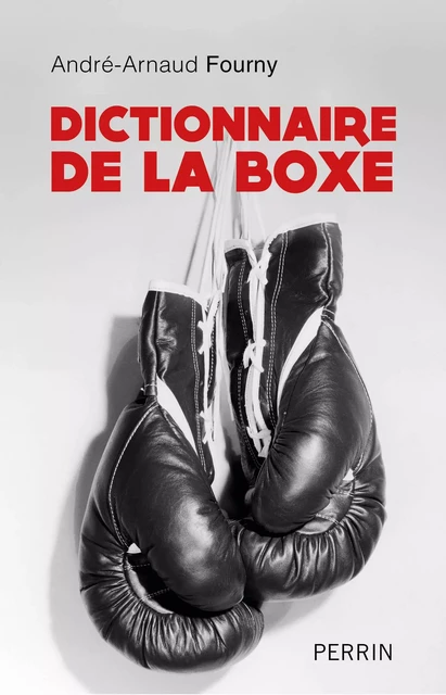 Dictionnaire de la boxe - André Fourny - Place des éditeurs