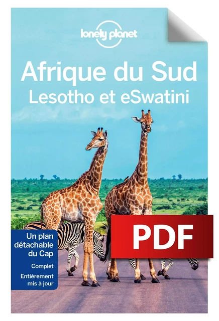 Afrique du Sud, Lesotho et Swaziland 11 -  Lonely planet eng - edi8