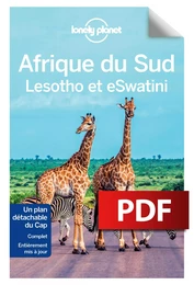 Afrique du Sud, Lesotho et Swaziland 11