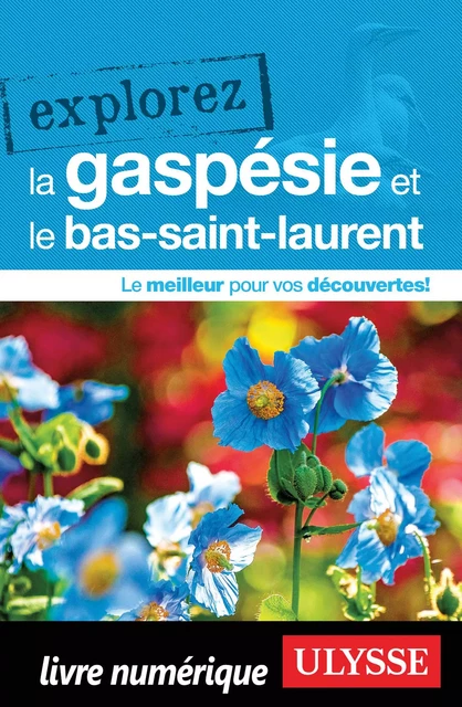 Explorez la Gaspésie et le Bas-Saint-Laurent -  Collectif - Ulysse