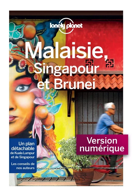 Malaisie, Singapour et Brunei - 9ed -  LONELY PLANET FR - edi8