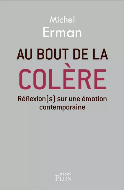 Au bout de la colère - Michel Erman - Place des éditeurs