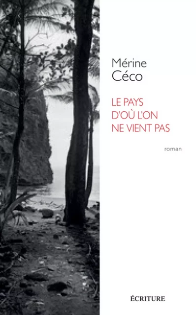 Le pays d'où l'on ne vient pas - Mérine Céco - L'Archipel