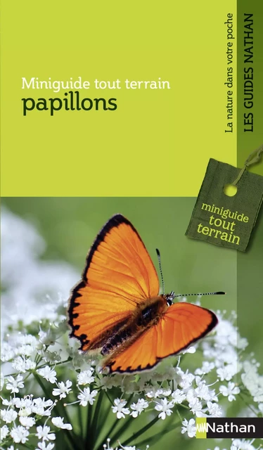 Papillons - Heiko Bellmann - Nathan