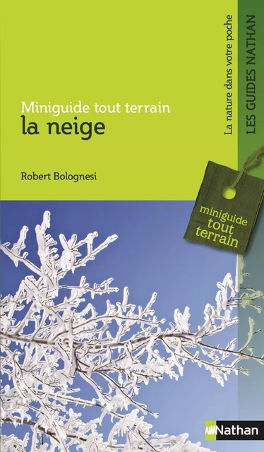 La neige - Robert Bolognesi - Nathan