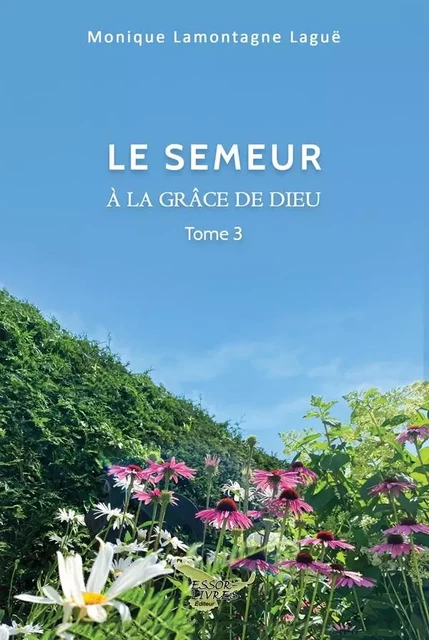 À la grâce de Dieu tome 3 - Monique Lague - Distribulivre