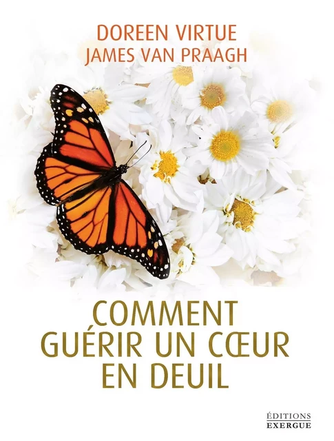 Comment guérir un coeur en deuil - Doreen Virtue, James Van Praagh - Courrier du livre