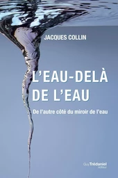 L'eau-delà de l'eau : De l'autre côté du miroir de l'eau